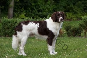 Geoff-George-van-de-Sebastiaans-Hoeve1a