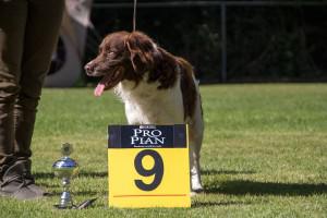 Max Best in Show 9e plaats!