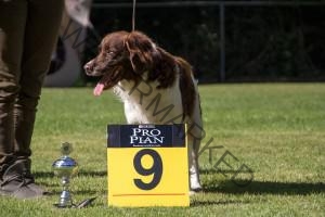 Max Best in Show 9e plaats!