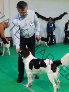 Eva-Kerstshow-2013 jeugklasse