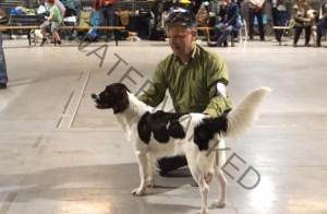 Eva laat zich goed zien aan de keurmeester.