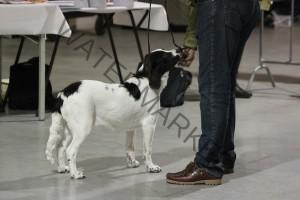 Veerle voor de tafel van de keurmeester